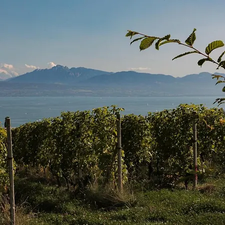 Les Volets Bleus Apartment Morges