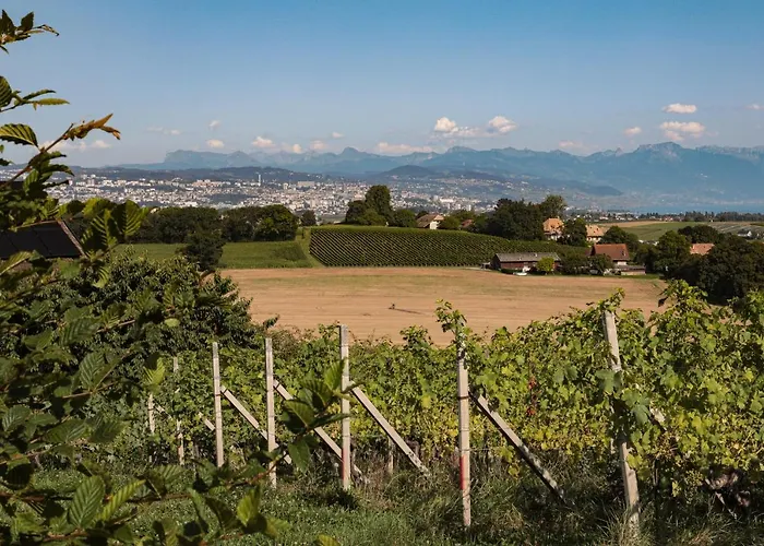 Appartement Les Volets Bleus *