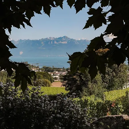 Les Volets Bleus Appartamento